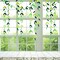 52 Ft Spring Summer Theme Green Paper Leaf Garland Hanging Leaves Streamer Banner for Green Birthday Wedding Engagement Bridal Shower Bachelorette Baby Shower Tea Party Decorations Supplies (4 Packs)
